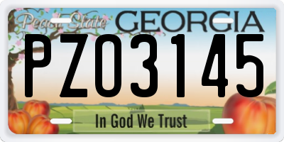 GA license plate PZO3145