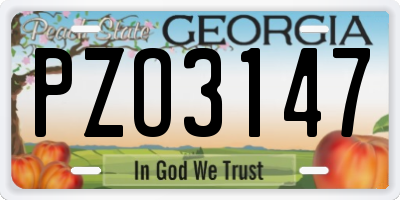 GA license plate PZO3147