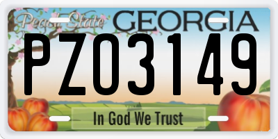 GA license plate PZO3149