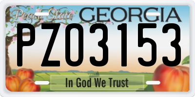 GA license plate PZO3153