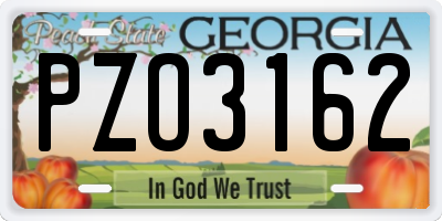 GA license plate PZO3162