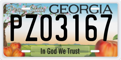 GA license plate PZO3167