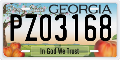 GA license plate PZO3168