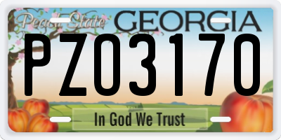 GA license plate PZO3170