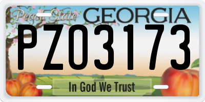 GA license plate PZO3173