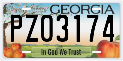 GA license plate PZO3174