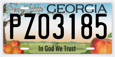 GA license plate PZO3185
