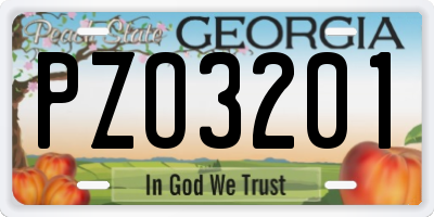 GA license plate PZO3201