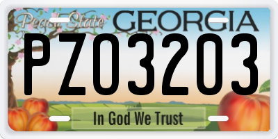 GA license plate PZO3203