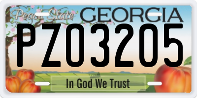 GA license plate PZO3205