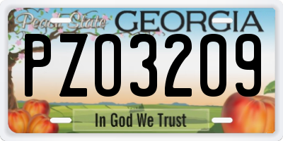 GA license plate PZO3209