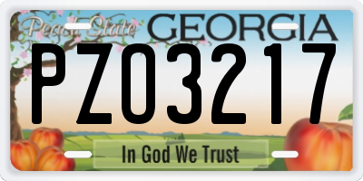 GA license plate PZO3217