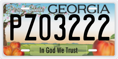 GA license plate PZO3222