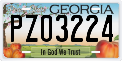 GA license plate PZO3224