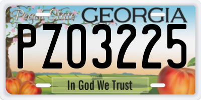 GA license plate PZO3225