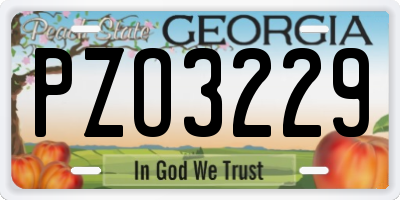 GA license plate PZO3229