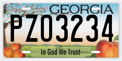 GA license plate PZO3234