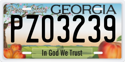 GA license plate PZO3239