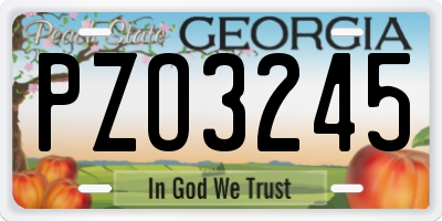 GA license plate PZO3245