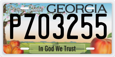 GA license plate PZO3255
