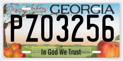 GA license plate PZO3256