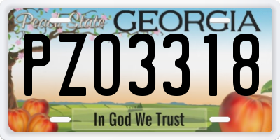GA license plate PZO3318