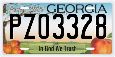 GA license plate PZO3328