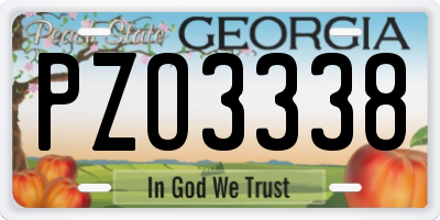 GA license plate PZO3338