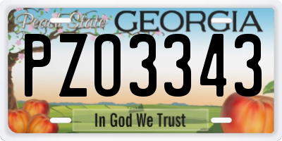 GA license plate PZO3343