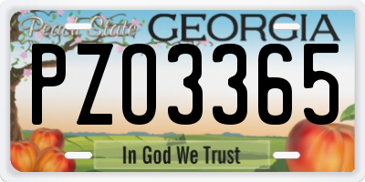 GA license plate PZO3365