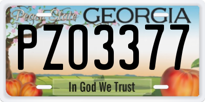 GA license plate PZO3377