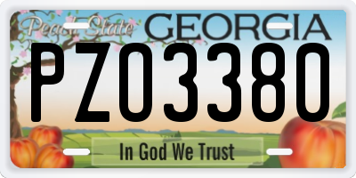 GA license plate PZO3380