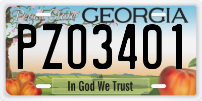 GA license plate PZO3401