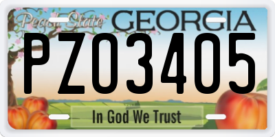 GA license plate PZO3405