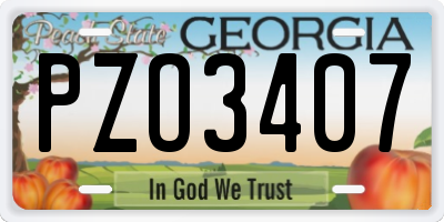 GA license plate PZO3407