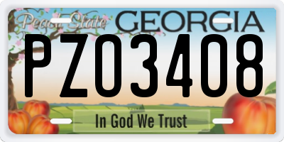 GA license plate PZO3408