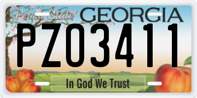 GA license plate PZO3411