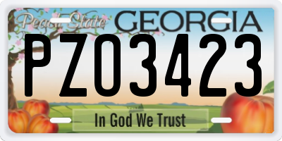 GA license plate PZO3423