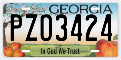GA license plate PZO3424