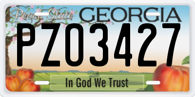 GA license plate PZO3427