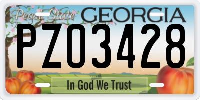 GA license plate PZO3428