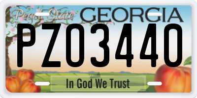 GA license plate PZO3440