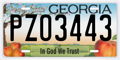 GA license plate PZO3443