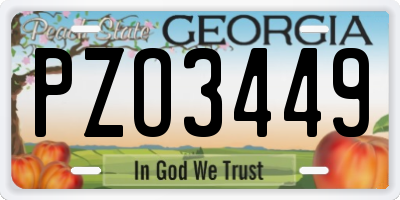 GA license plate PZO3449