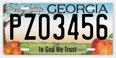 GA license plate PZO3456