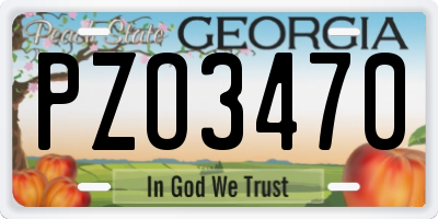 GA license plate PZO3470