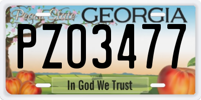 GA license plate PZO3477