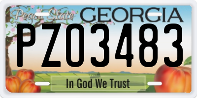GA license plate PZO3483