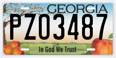 GA license plate PZO3487