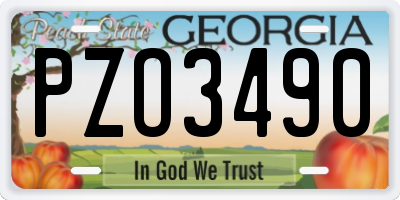 GA license plate PZO3490